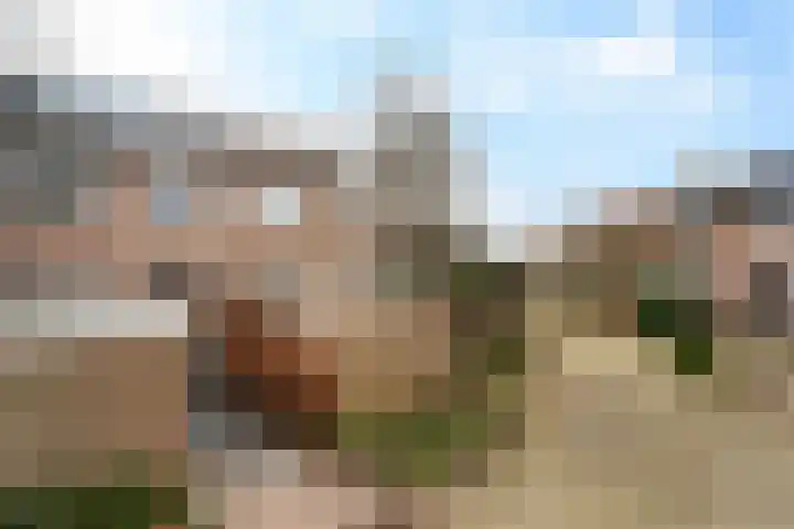 Robijn 2 's-Gravenzande thumbnail 46