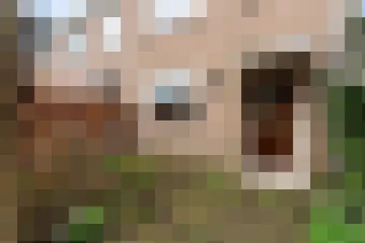 Robijn 2 's-Gravenzande thumbnail 5