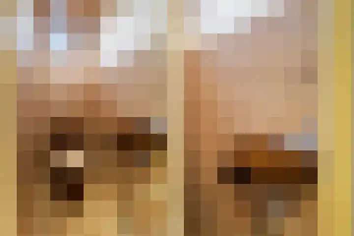 Robijn 2 's-Gravenzande thumbnail 8