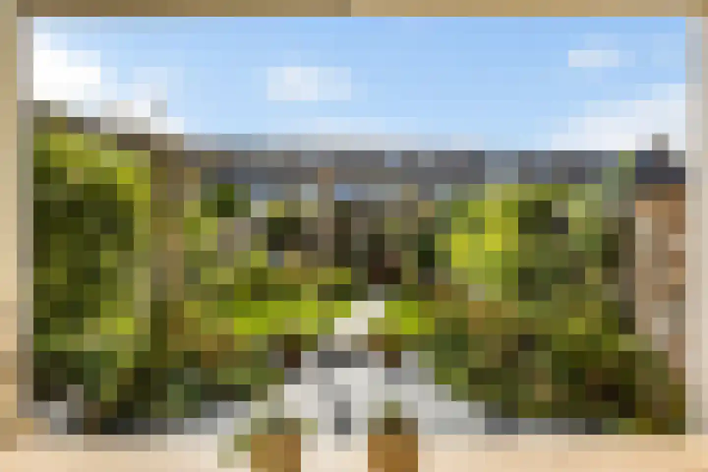 Robijn 20 Zoetermeer thumbnail 11