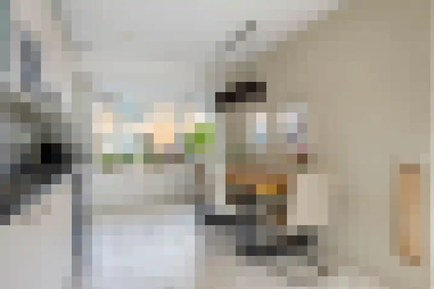 Robijn 20 Zoetermeer thumbnail 13