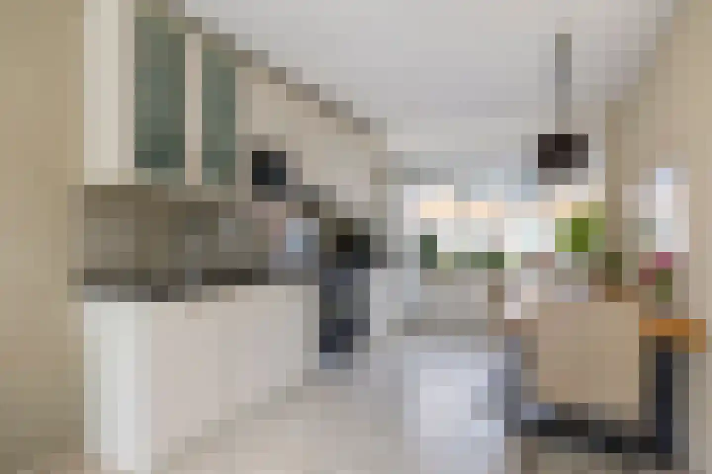 Robijn 20 Zoetermeer thumbnail 14