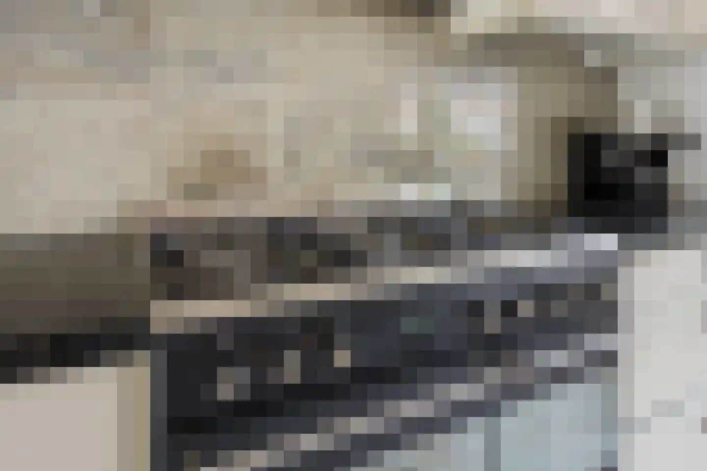 Robijn 20 Zoetermeer thumbnail 17