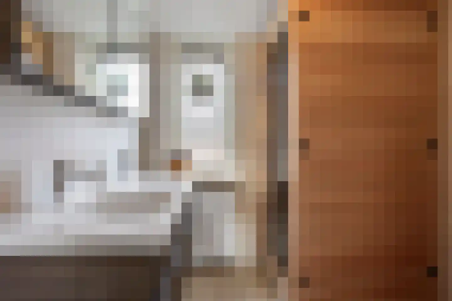 Robijn 20 Zoetermeer thumbnail 24