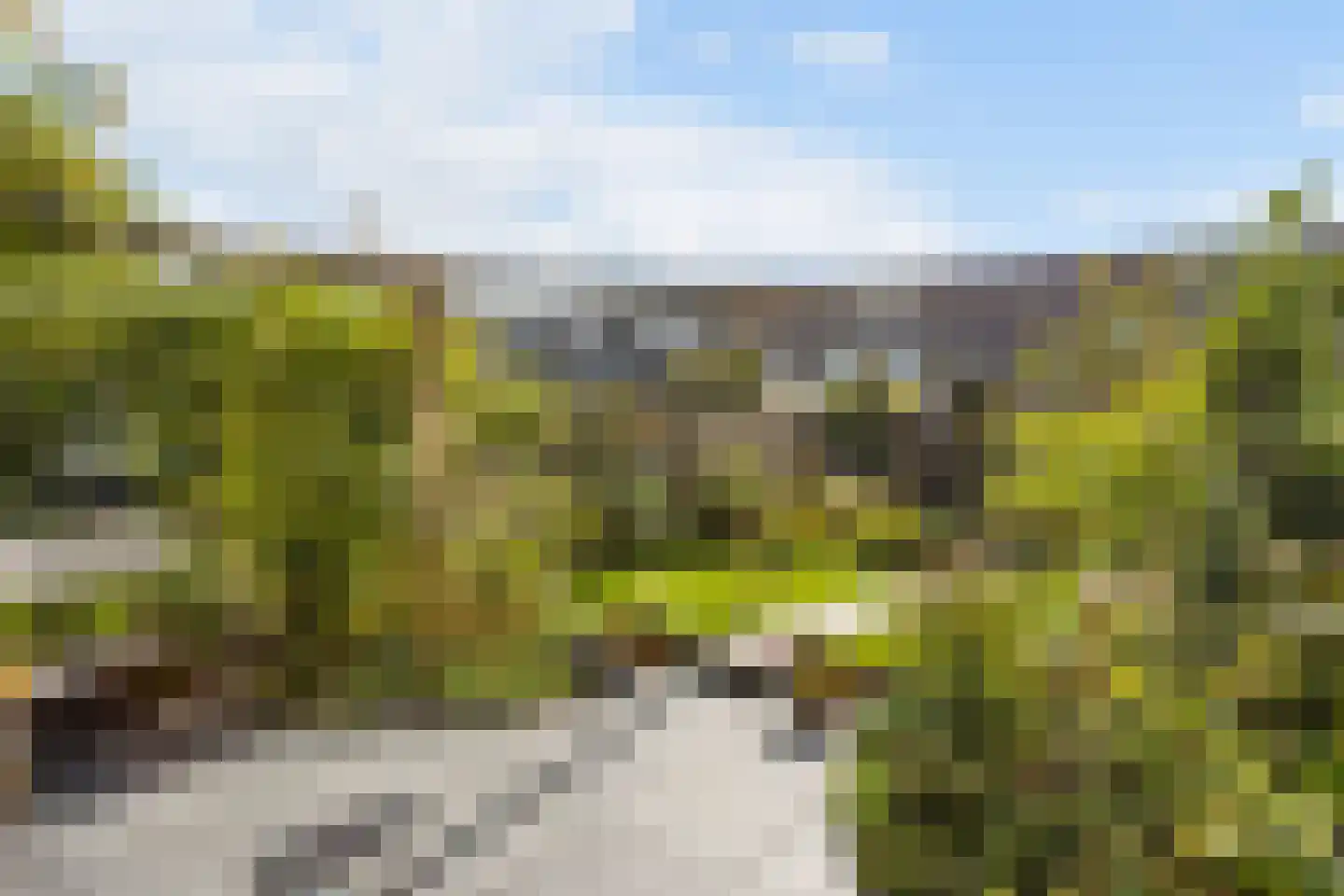 Robijn 20 Zoetermeer thumbnail 30
