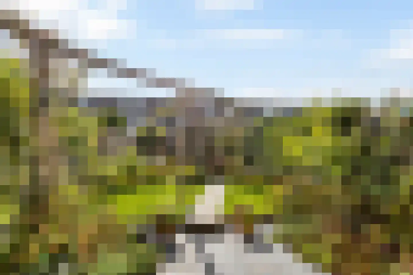 Robijn 20 Zoetermeer thumbnail 31