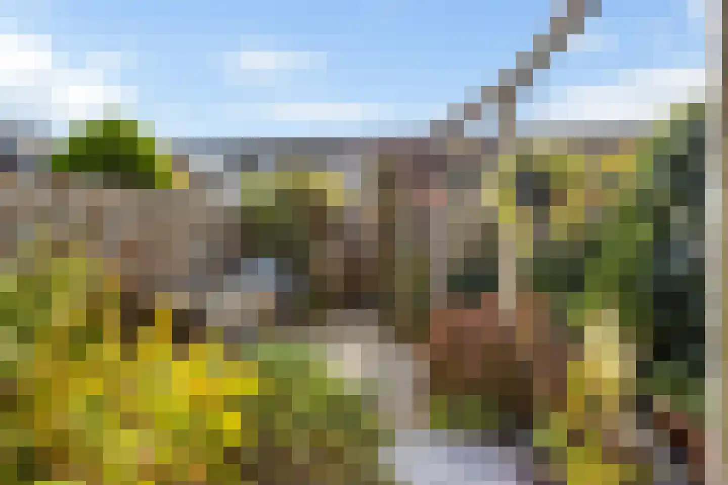 Robijn 20 Zoetermeer thumbnail 33