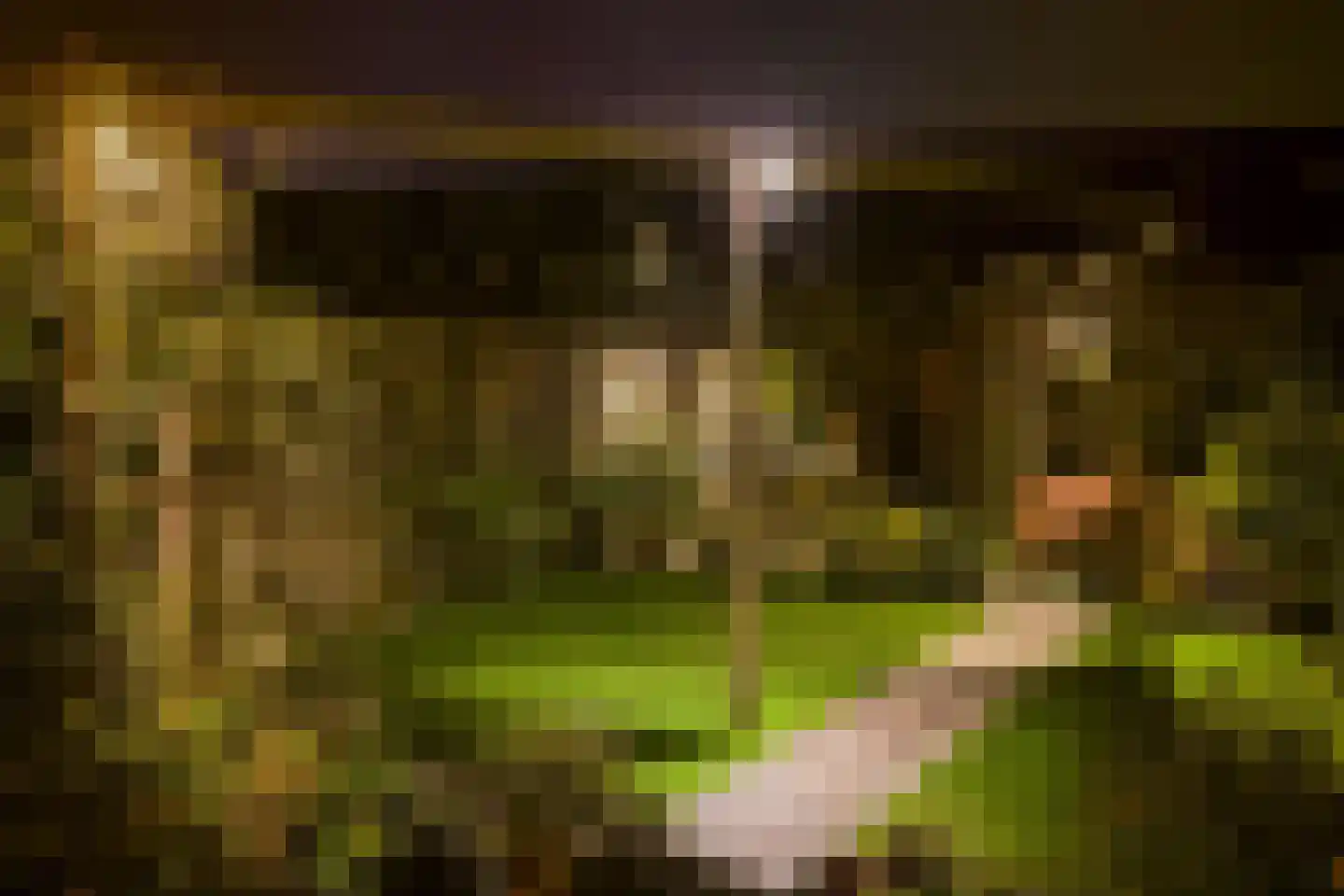 Robijn 20 Zoetermeer thumbnail 37