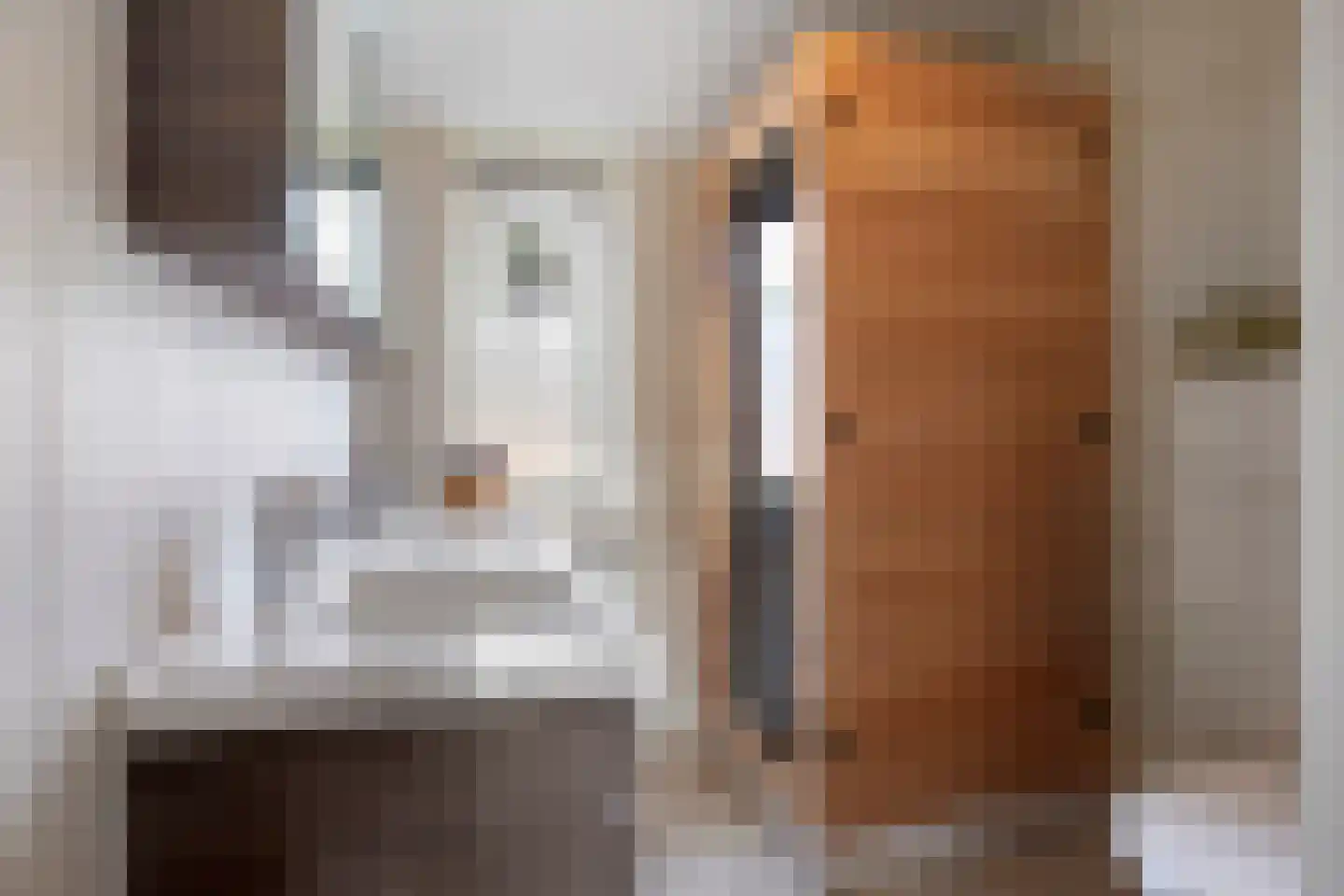 Robijn 20 Zoetermeer thumbnail 5