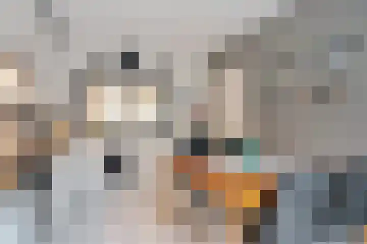 Robijn 3 Zoetermeer thumbnail 15