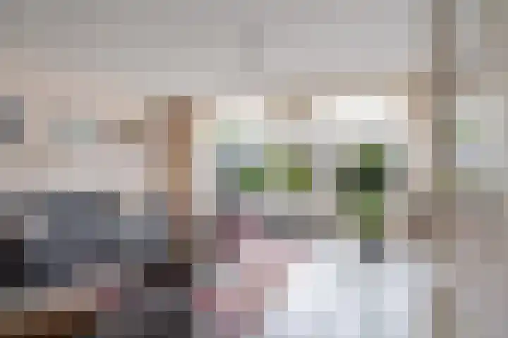 Robijn 3 Zoetermeer thumbnail 17