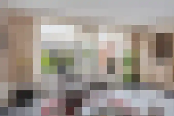 Robijn 3 Zoetermeer thumbnail 18