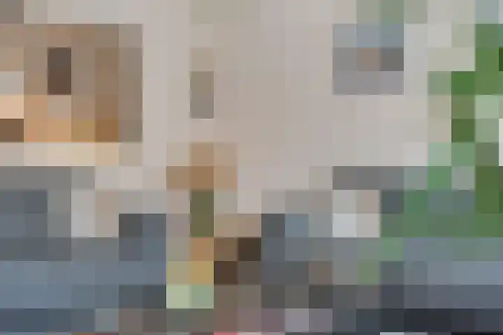 Robijn 3 Zoetermeer thumbnail 20