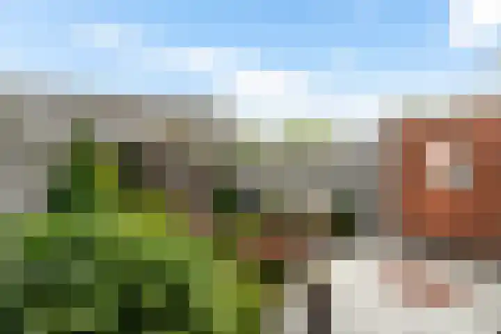 Robijn 3 Zoetermeer thumbnail 23