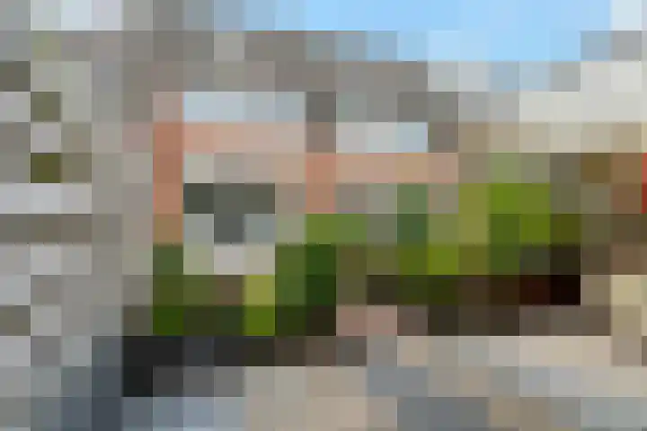 Robijn 3 Zoetermeer thumbnail 24