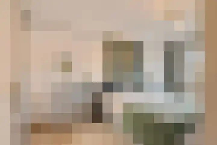 Robijn 3 Zoetermeer thumbnail 29