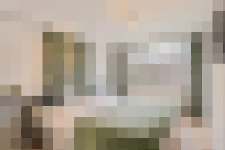 Robijn 3 Zoetermeer thumbnail 30