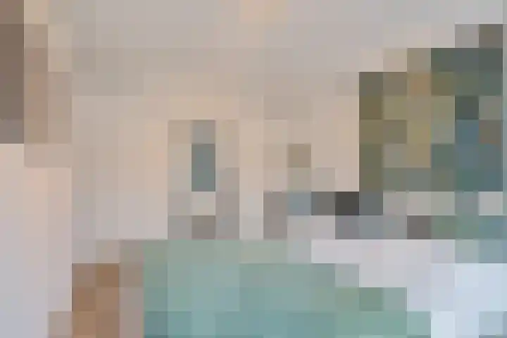 Robijn 3 Zoetermeer thumbnail 31