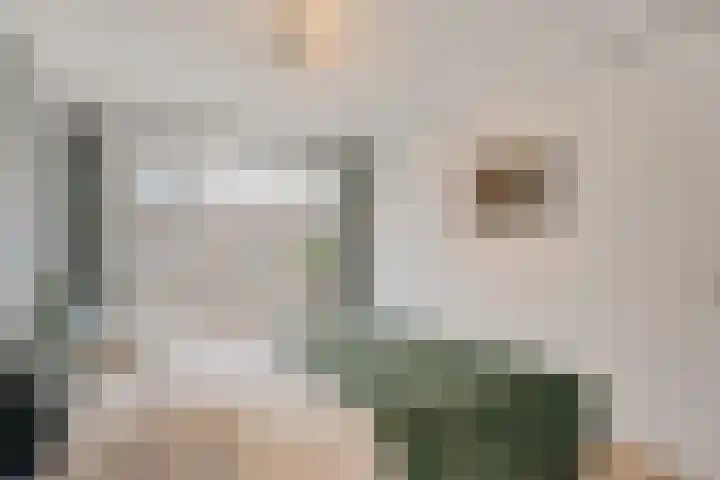 Robijn 3 Zoetermeer thumbnail 32