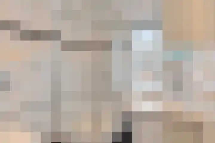 Robijn 3 Zoetermeer thumbnail 36