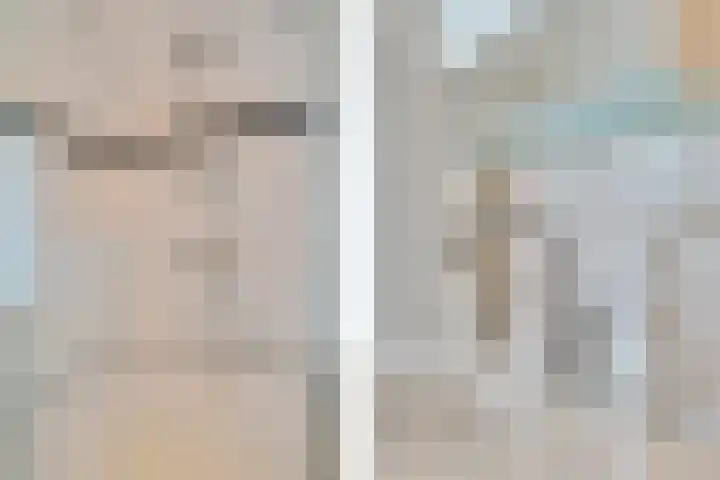 Robijn 3 Zoetermeer thumbnail 37