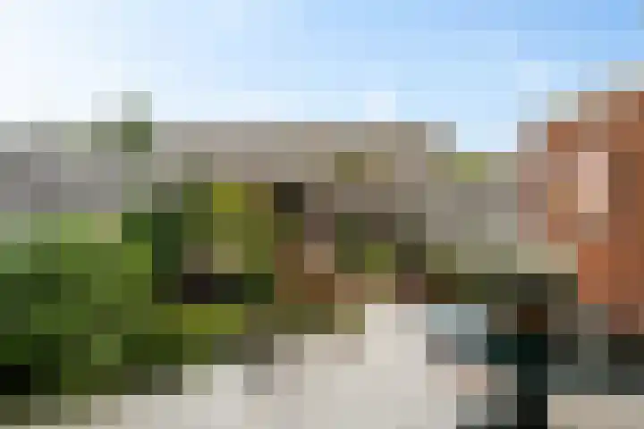 Robijn 3 Zoetermeer thumbnail 4