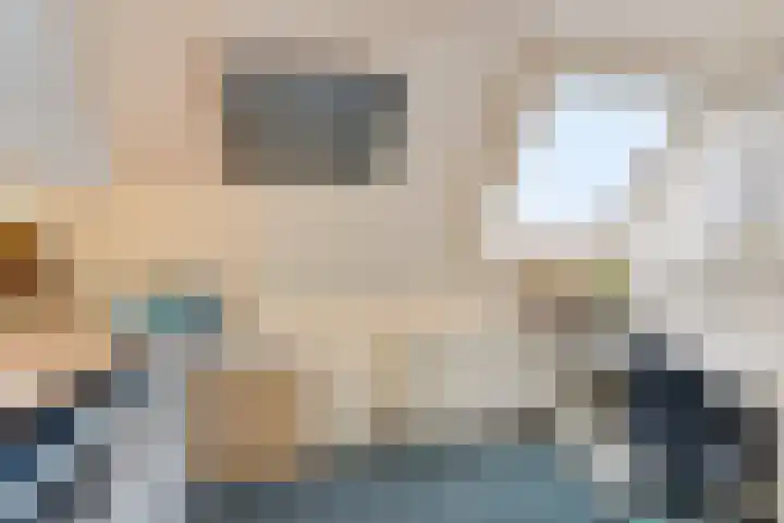 Robijn 3 Zoetermeer thumbnail 41