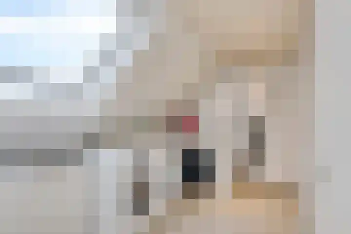 Robijn 3 Zoetermeer thumbnail 43