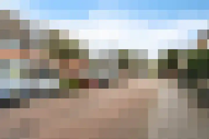 Robijn 3 Zoetermeer thumbnail 5