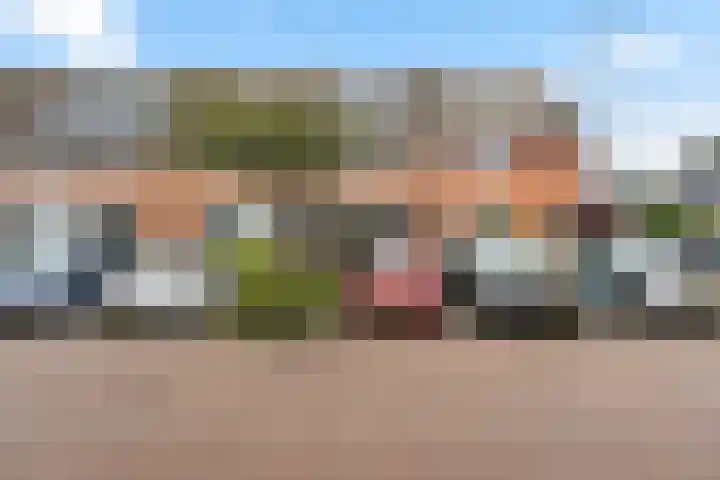 Robijn 3 Zoetermeer thumbnail 6