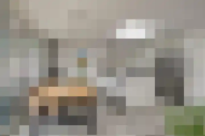 Robijn 33 Zeewolde thumbnail 18