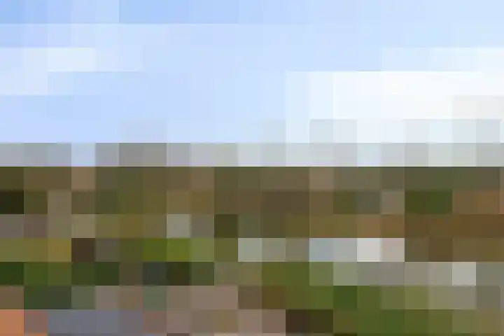 Robijn 33 Zeewolde thumbnail 38