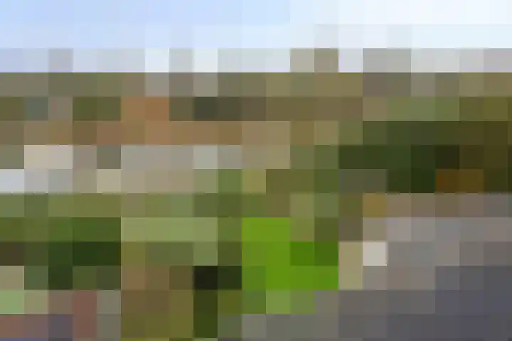 Robijn 33 Zeewolde thumbnail 39