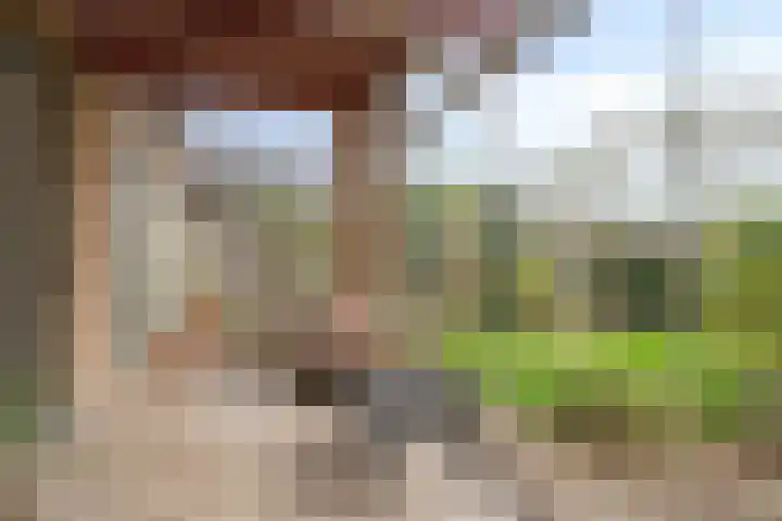 Robijn 33 Zeewolde thumbnail 43