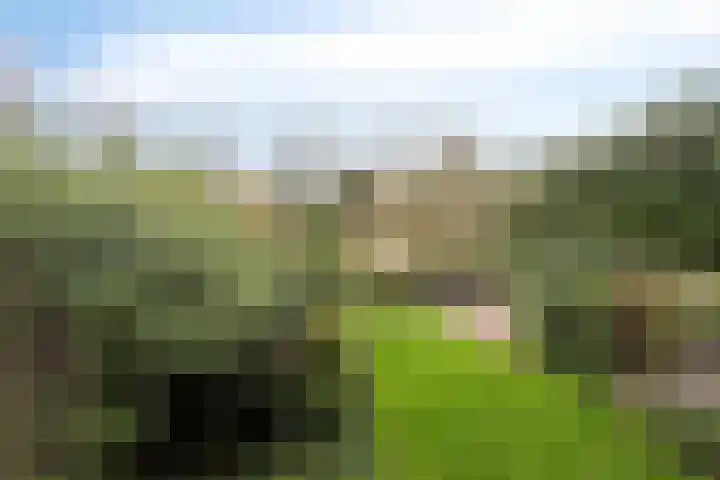 Robijn 33 Zeewolde thumbnail 49