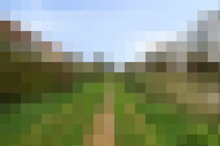 Robijn 33 Zeewolde thumbnail 54