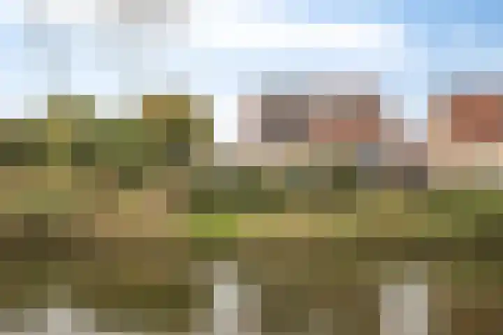 Robijn 33 Zeewolde thumbnail 56
