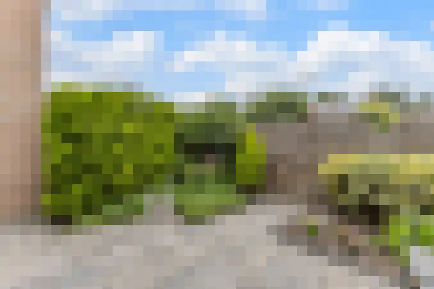 Robijn 49 's-Gravenzande thumbnail 34
