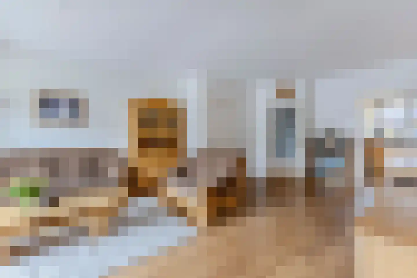 Robijn 49 's-Gravenzande thumbnail 8