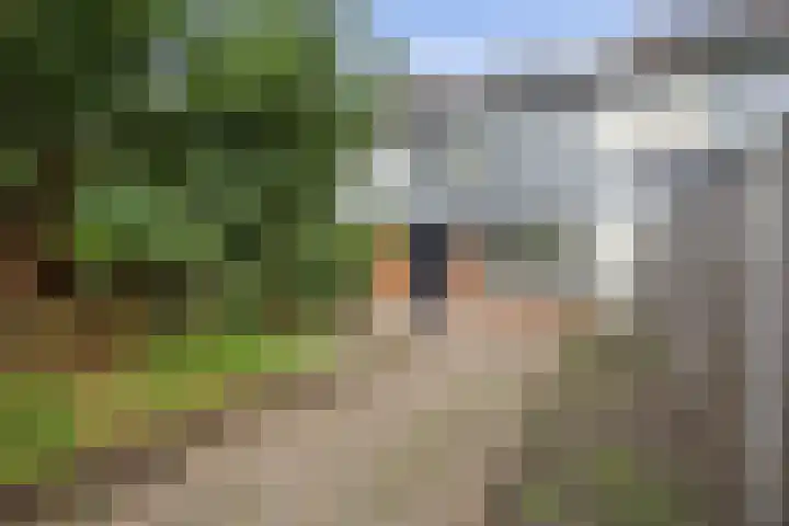 Robijn 7 's-Hertogenbosch thumbnail 25