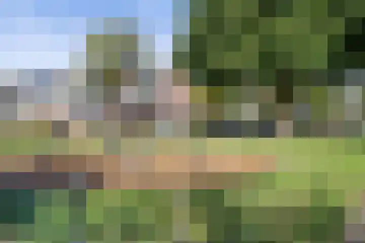 Robijn 7 's-Hertogenbosch thumbnail 31