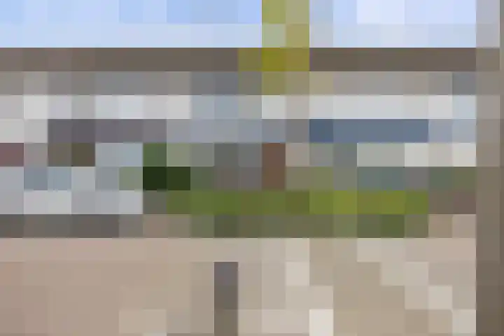 Robijn 7 's-Hertogenbosch thumbnail 32