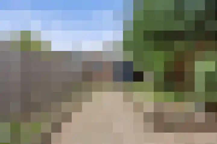 Robijn 7 's-Hertogenbosch thumbnail 4
