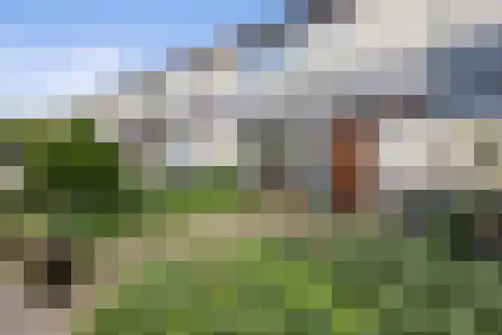 Robijn 7 's-Hertogenbosch thumbnail 5