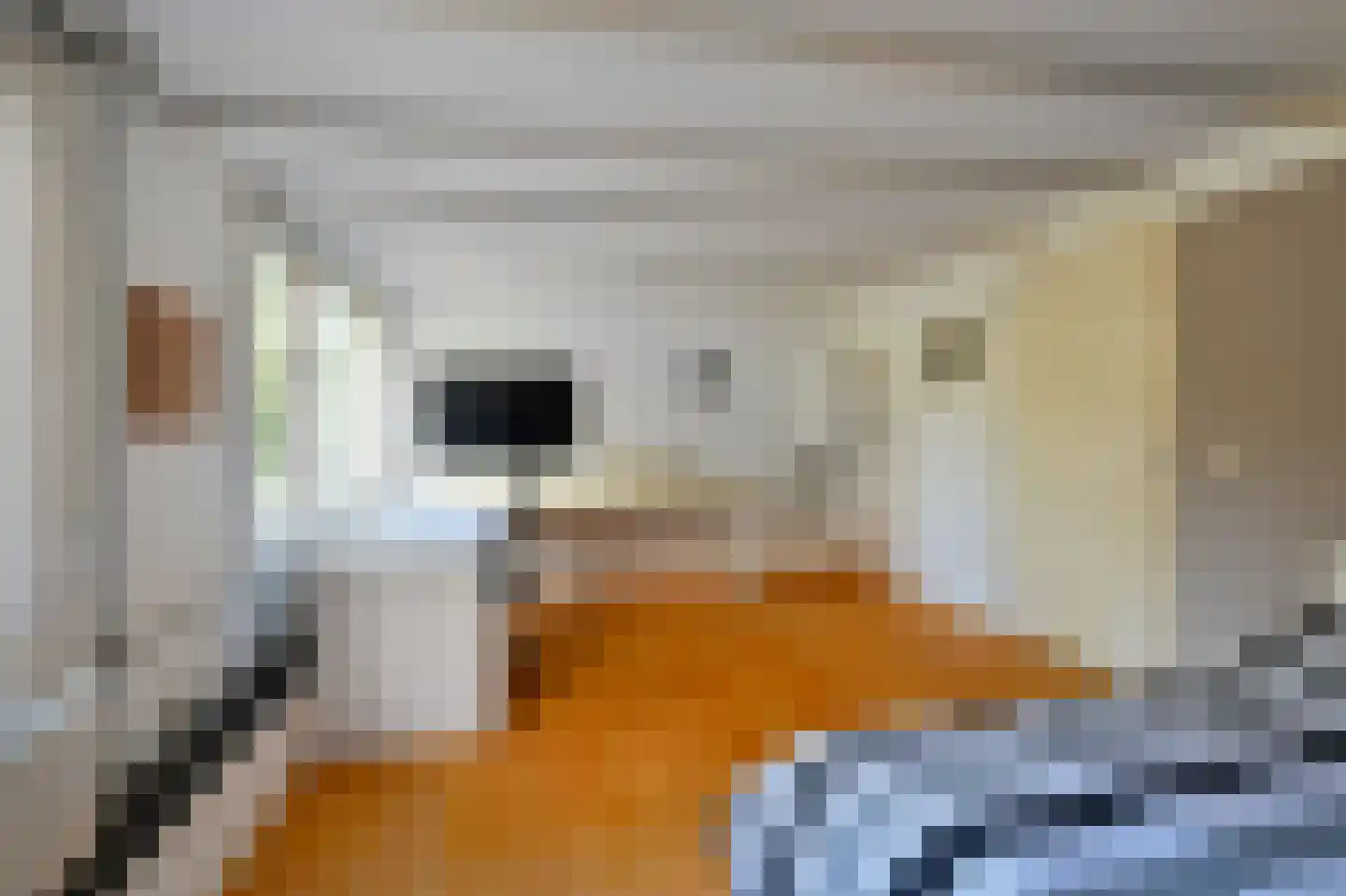 Robijn 8 Mijdrecht thumbnail 13