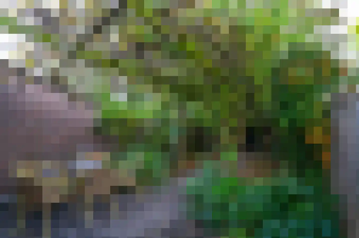 Robijn 8 Mijdrecht thumbnail 22