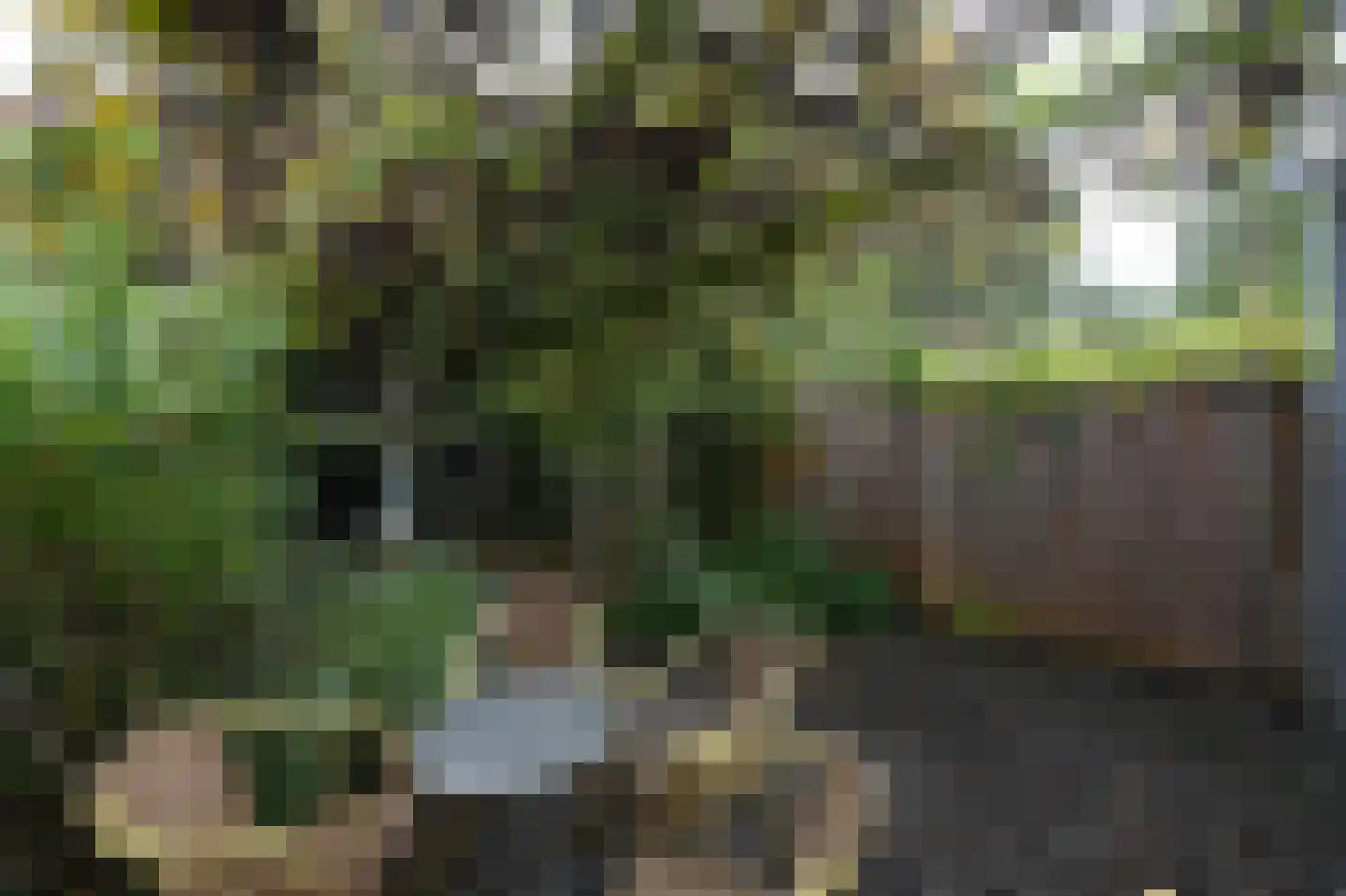 Robijn 8 Mijdrecht thumbnail 24