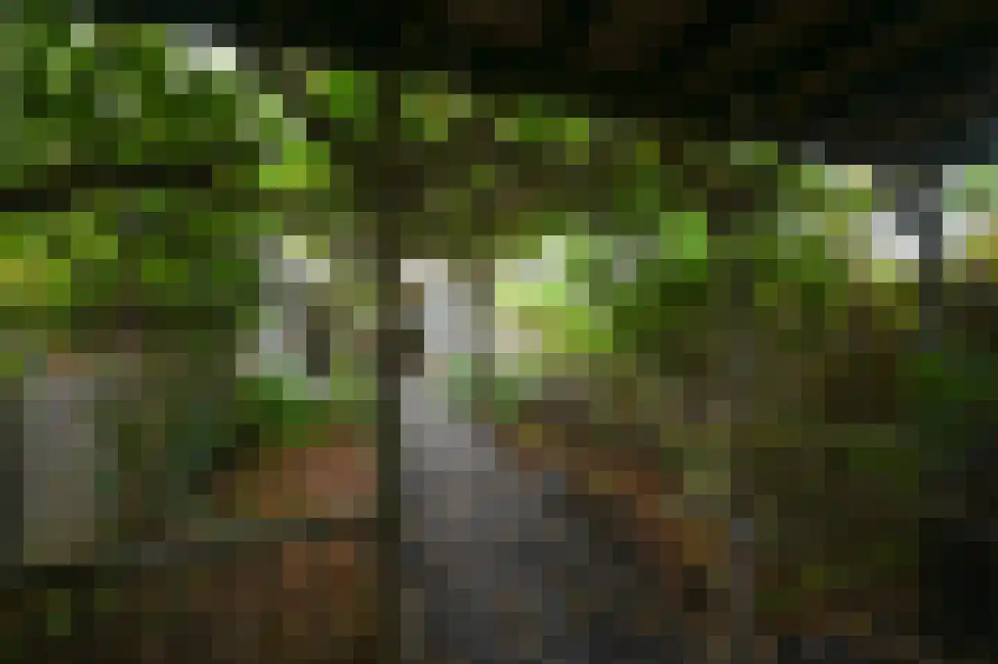 Robijn 8 Mijdrecht thumbnail 27