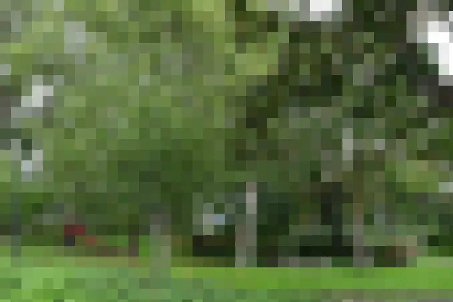 Robijn 8 Mijdrecht thumbnail 30