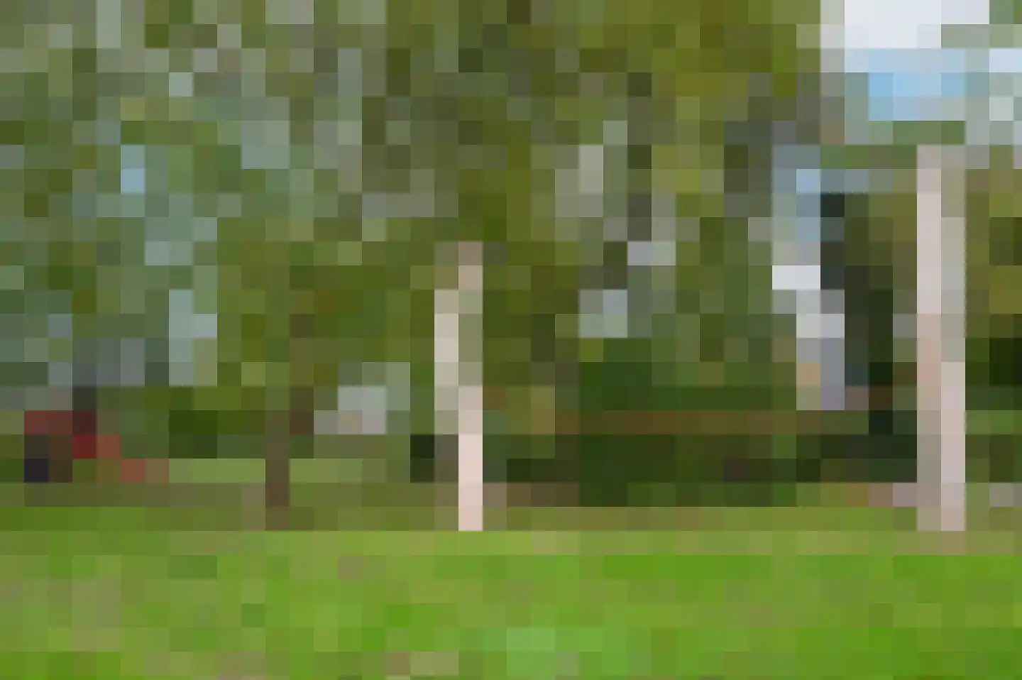 Robijn 8 Mijdrecht thumbnail 32